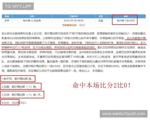 足彩310实战技巧分享帮助新手快速入门实现稳健盈利的实用经验